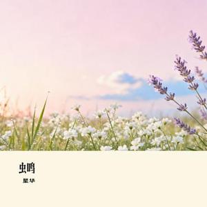 我愿思念化春风 (Remix)