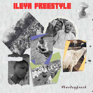 Ileya Freestyle