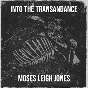 Into the Transandance