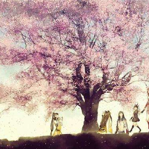 洛阳花（翻自 无）