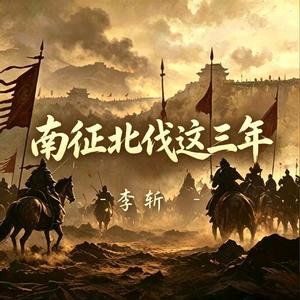 南征北伐这三年