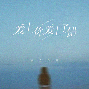 爱上你爱上了错 (DJ彭锐版)