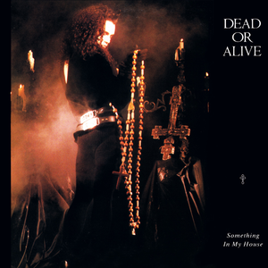 Something In My House (Single Version)