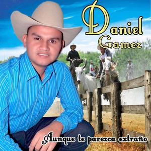 MI ESTIMADA LLANERITA