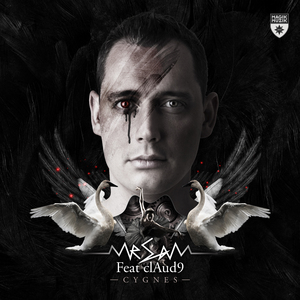 Cygnes (Ferry Tayle Remix)