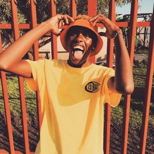 Sgija 501