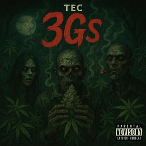 3GS
