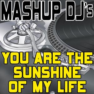 You Are The Sunshine Of My Life (Acapella Mix) [Re-Mix Tool]