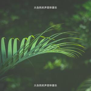 好心情（鸟儿歌）