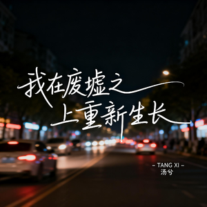 我在废墟之上重新生长