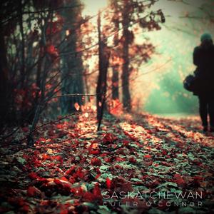 Voldemort Nos Invitó a Miami Pero No Habían Vuelos Directos