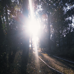 是你教会我如何熟练地不快乐