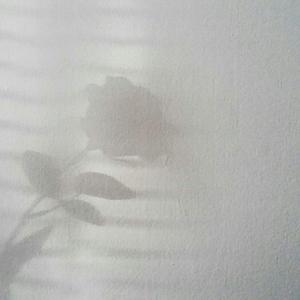 广木上言(Luv Song2.0)