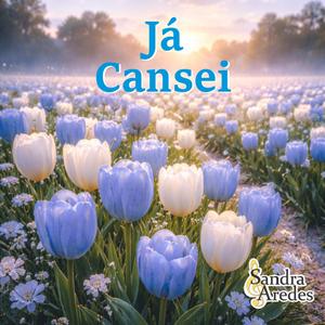 Já Cansei