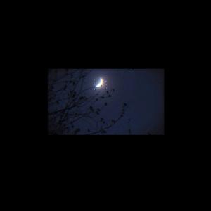 卢广仲-鱼仔（Shock23 remix）