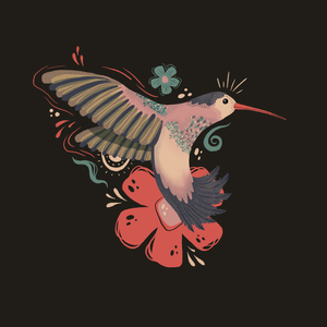 Kolibri