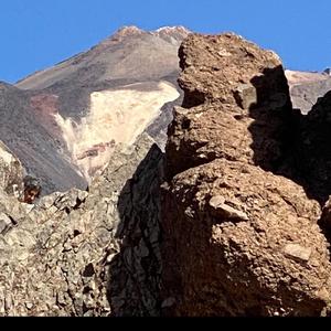 Space Ship Mother Earth