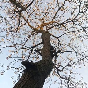 这一生关于你的风景