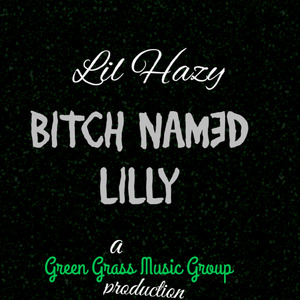 ***** NAM3D LILLY