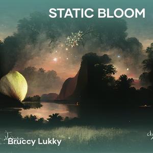 Static Bloom