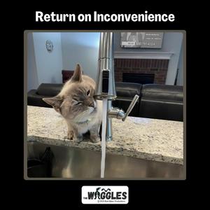 Return on Inconvenience
