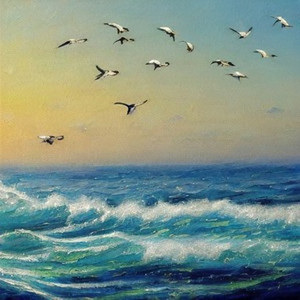 海鸥飞 (28秒片段)