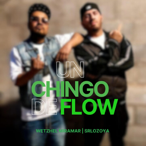 Un Chingo de Flow (feat. SrLozoya)