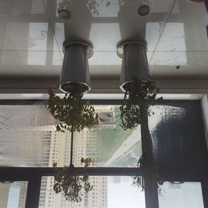 远航（demo）男 伴奏