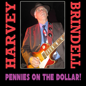 Pennies on the Dollar (feat. Mitch Kashmar)