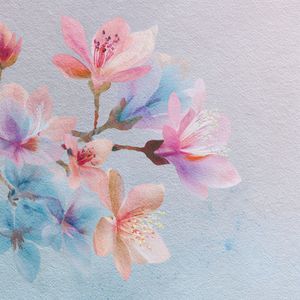 Aura Bloom