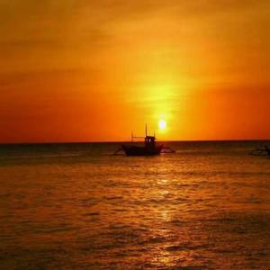 背井离乡的浪子