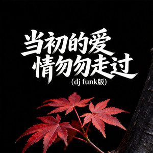 当初的爱情匆匆走过