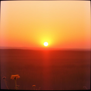 Keberuntungan Menyertaiku