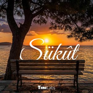Sükût