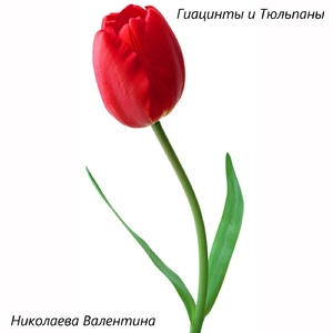 Гиацинты и Тюльпаны (минус)