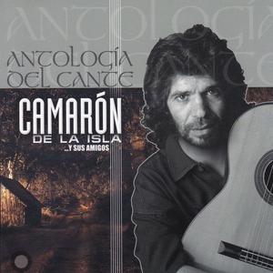 La Alegria de Mi Cara