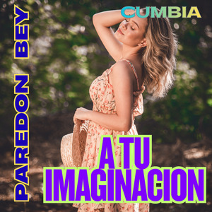 A TU IMAGINACION