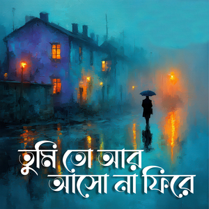 তুমি তো আর আসো না ফিরে