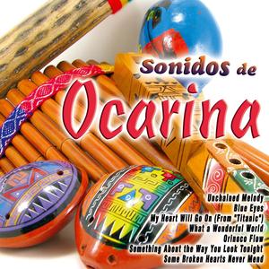 You Light up My Life