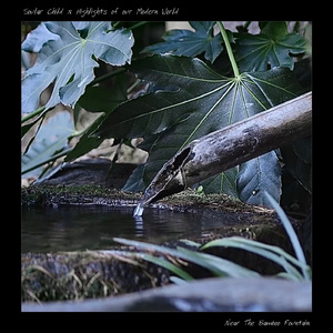 Near The Bamboo Fountain