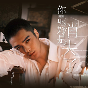 你最好是消失了 (伴奏)