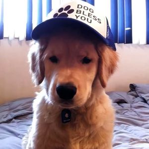 Pluggnb*Bē$t ØF Mė*type type beat