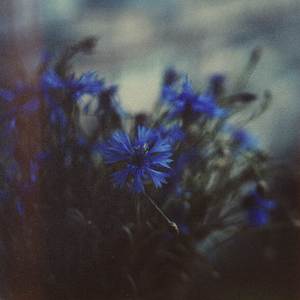 Cloudmirror (Solo Version)