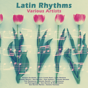 Mr. Le Consul a Curityba