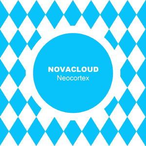Neocortex