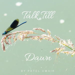 Talk Till Dawn