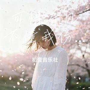 可惜春风不懂我伤悲 (Cover 范贵宾)
