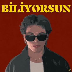 Biliyorsun