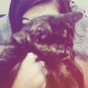 never had love like this (feat. cip)