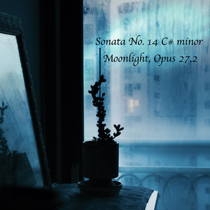 Sonata No. 14 C# minor (Moonlight) , Opus 27,2 2 Ali (feat. 古典樂精選 & I Like Beethoven)